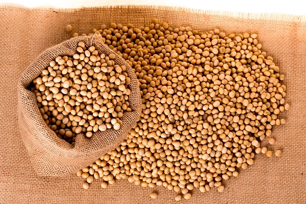 soybeans-2039638_1280