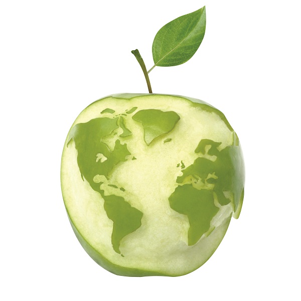 apple-globe-map